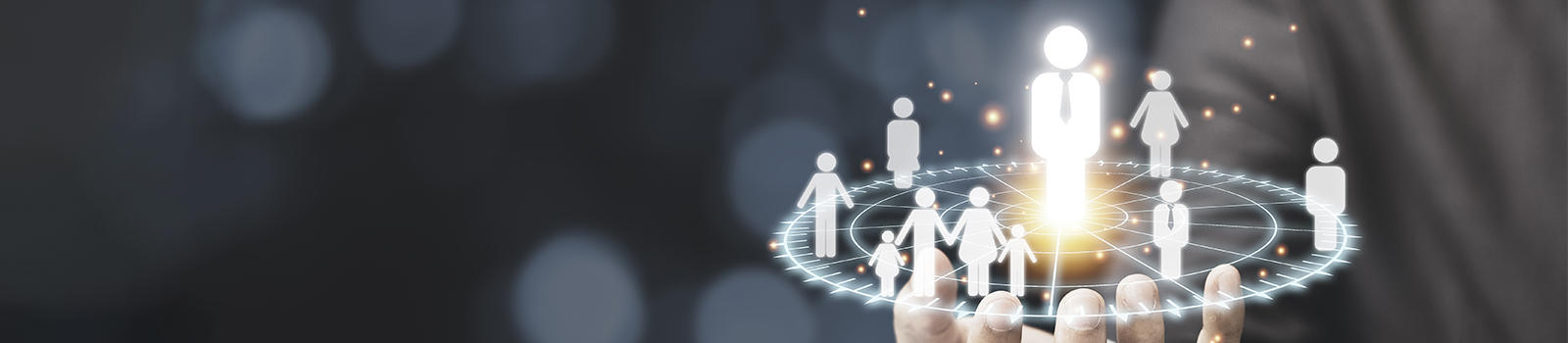 BSK Aviation Management Banner